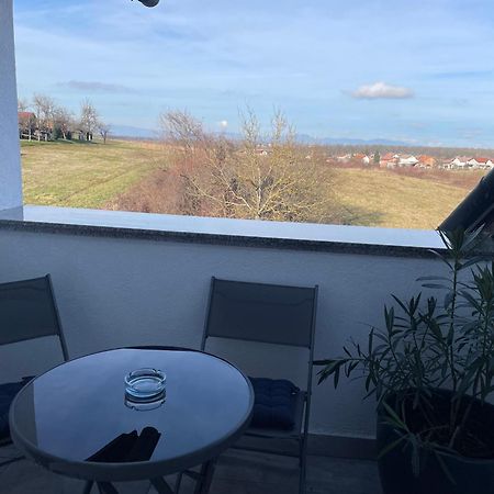 Vila Milka - Balkon - Besplatan Parking - Samostalna Prijava Карловаць Екстер'єр фото